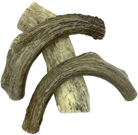 Deer Valley Dog Chews (Giant Single, 8-10 Inches) - Sustainably-Sourced Deer Antler For Extra Large Breeds - Durable And Enticing Chew Toy For Aggressive Chewers 8 Deer Valley Dog Chews (Giant Single, 8-10 Inches) - Sustainably-Sourced Deer Antler For Extra Large Breeds - Durable And Enticing Chew Toy For Aggressive Chewers - Image 6
