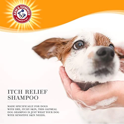 Arm & Hammer Ultra Fresh Dog Shampoos, Conditioners, And Sprays For Dogs | Arm & Hammer Baking Soda Ingredient Helps Neutralize Bad Pet Odors For An Advanced Clean | Itch Relief Shampoo For Dogs 4 Arm & Hammer Ultra Fresh Dog Shampoos, Conditioners, And Sprays For Dogs | Arm & Hammer Baking Soda Ingredient Helps Neutralize Bad Pet Odors For An Advanced Clean | Itch Relief Shampoo For Dogs - Image 2