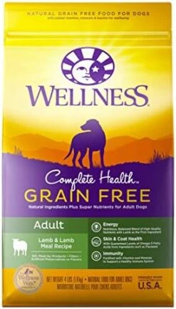 Wellness Complete Health Grain-Free Small Breed Dry Dog Food, Natural Ingredients, Made In USA With Real Turkey, For All Lifestages (Turkey, Chicken & Salmon, 4-Pound Bag) -Dog Supply Store 41SjR2Zjh7L. AC