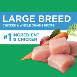 IAMS Adult High Protein Large Breed Dry Dog Food With Real Chicken, 30 Lb. Bag -Dog Supply Store 41Tj3RFvlXL