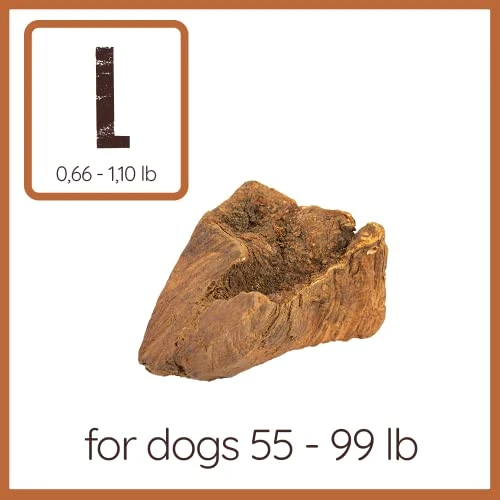 Wildfang® | Chewing Root Made From Tree Heather For Dogs, Dental Care & Masticatory Muscle Training, Natural Chew Toy…… 4 Wildfang® | Chewing Root Made From Tree Heather For Dogs, Dental Care & Masticatory Muscle Training, Natural Chew Toy…… - Image 2