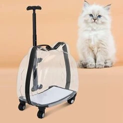 AYENCI Pet Backpack, Portable Trolley Case Carrier, Cat Bubbles Pet Bag Case, Transparent Breathable Cat Trolley, For Small Dogs And Cats (Color : Black) 12 AYENCI Pet Backpack, Portable Trolley Case Carrier, Cat Bubbles Pet Bag Case, Transparent Breathable Cat Trolley, For Small Dogs And Cats (Color : Black) -Dog Supply Store 41UV4vKi17L