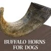 WhiteTail Naturals - Water Buffalo Horns For Dogs (3 Pack Medium) All-Natural Buffalo Horn Dog Chew - Long Lasting Chew Toy For Aggressive Chewers And Teething Puppies -Dog Supply Store 41Uk7IzkJqL