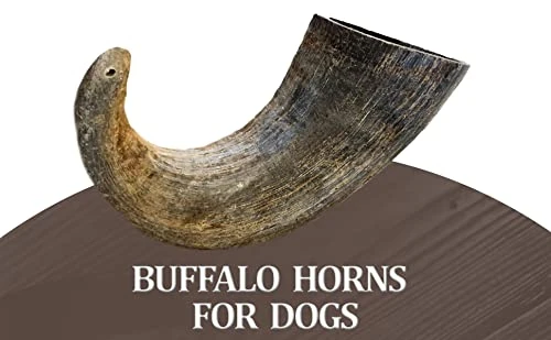 WhiteTail Naturals - Water Buffalo Horns For Dogs (3 Pack Medium) All-Natural Buffalo Horn Dog Chew - Long Lasting Chew Toy For Aggressive Chewers And Teething Puppies 3 WhiteTail Naturals - Water Buffalo Horns For Dogs (3 Pack Medium) All-Natural Buffalo Horn Dog Chew - Long Lasting Chew Toy For Aggressive Chewers And Teething Puppies