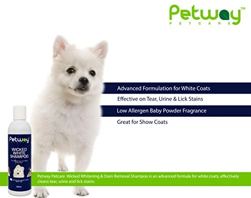 Petway Petcare Wicked White Whitening & Stain Removal Shampoo For Dogs With White Coat, Deep Cleanse To The Coat & Skin, Free Of Phosphates & Parabens, PH Balanced, Removes Dirt & Odor, 250ml 4 Petway Petcare Wicked White Whitening & Stain Removal Shampoo For Dogs With White Coat, Deep Cleanse To The Coat & Skin, Free Of Phosphates & Parabens, PH Balanced, Removes Dirt & Odor, 250ml - Image 2