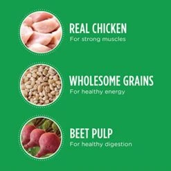 IAMS Adult High Protein Large Breed Dry Dog Food With Real Chicken, 15 Lb. Bag -Dog Supply Store 41VhDyDg1tL