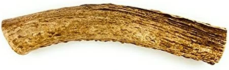 Deer Valley Dog Chews (Giant Single, 8-10 Inches) - Sustainably-Sourced Deer Antler For Extra Large Breeds - Durable And Enticing Chew Toy For Aggressive Chewers 7 Deer Valley Dog Chews (Giant Single, 8-10 Inches) - Sustainably-Sourced Deer Antler For Extra Large Breeds - Durable And Enticing Chew Toy For Aggressive Chewers - Image 5