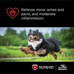 Nutri-Vet Aspirin For Dogs | Dogs Under 50lbs | 120 Mg | 100 Count (Pack Of 1) 11 Nutri-Vet Aspirin For Dogs | Dogs Under 50lbs | 120 Mg | 100 Count (Pack Of 1) -Dog Supply Store 41WTfVX5wmL