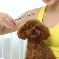 FOVANI KIM JONG YI Curved Dog Grooming Scissors Light Weight Professional Pet Shears Stainless Steel For Dogs Cats Pets -Dog Supply Store 41X2qN8TumL