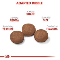 Royal Canin Size Health Nutrition Medium Puppy Dry Dog Food, 30 Lb Bag -Dog Supply Store 41XUmaKkRtL