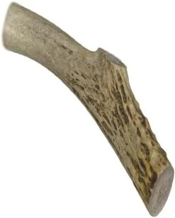 WhiteTail Naturals | Premium Deer Antlers For Dogs (Extra Large) | All Natural Antler Dog Chew | Naturally Shed, Long Lasting Chew Bone, Made In USA -Dog Supply Store 41YR0pFCXVL. AC