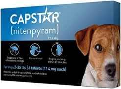 CAPSTAR (nitenpyram) Oral Flea Treatment For Dogs, Fast Acting Tablets Start Killing Fleas In 30 Minutes, Medium & Large Dogs (Over 25 Lbs), 6 Doses 23 CAPSTAR (nitenpyram) Oral Flea Treatment For Dogs, Fast Acting Tablets Start Killing Fleas In 30 Minutes, Medium & Large Dogs (Over 25 Lbs), 6 Doses -Dog Supply Store 41Z5nkIolBL. AC