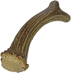 WhiteTail Naturals | Premium Deer Antlers For Dogs (Extra Large) | All Natural Antler Dog Chew | Naturally Shed, Long Lasting Chew Bone, Made In USA -Dog Supply Store 41a8YBEUgNL. AC