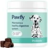 Pawfy Probiotic Soft Chews | Digestive | Gut | Immune Support | Diarrhea & Constipation Relief | Allergy Response & More -Dog Supply Store 41aUjhkIojL