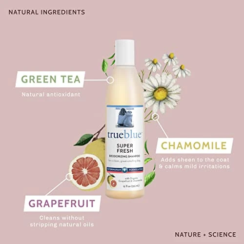 TrueBlue Grapefruit & Chamomile Deodorizing Dog Shampoo – Cleansing Wash, Moisturizing – Toxin Free, Natural Botanical Blend – Tearless – 12 Fl. Oz. 4 TrueBlue Grapefruit & Chamomile Deodorizing Dog Shampoo – Cleansing Wash, Moisturizing – Toxin Free, Natural Botanical Blend – Tearless – 12 Fl. Oz. - Image 2