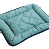 Dog Gone Smart Chenille Dog Sleeper Cushion, Green W/Blue Trim, 21"X30" Medium
