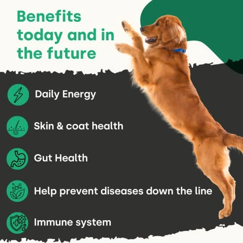 WOOOF Doggie Greens - Natural Dog Micronutrients & Probiotics. Daily Vitamins & Minerals From Superfoods. Includes Spirulina, Kelp & Algae. Longevity, Gut, Immunity & Coat. 90 Chews 4 WOOOF Doggie Greens - Natural Dog Micronutrients & Probiotics. Daily Vitamins & Minerals From Superfoods. Includes Spirulina, Kelp & Algae. Longevity, Gut, Immunity & Coat. 90 Chews - Image 2
