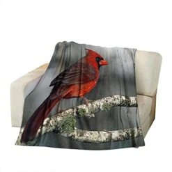 AOYEGO Bird Soft Throw Blanket Sweet Food Desert Birthday Chocolate Cherry 30x40 Inch Blanket Flannel Warm Travel Blankets For Pet Dog Cat -Dog Supply Store 41gOu2tflkS. AC