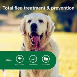Advantage II Large Dog Vet-Recommended Flea Treatment & Prevention | Dogs 21-55 Lbs. | 4-Month Supply -Dog Supply Store 41ggS6WBAGL