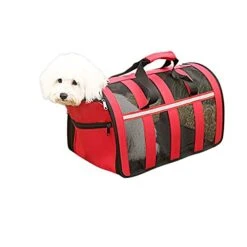 JOZZY Pet Travel Bag Dog Carrier Bags Portable Pet Backpack Breathable Carrier Travel Outdoor Bag For Dogs Cats Packaging Carrying Pet Supplies (Color : Black, Size : S(35x22x22cm)) 19 JOZZY Pet Travel Bag Dog Carrier Bags Portable Pet Backpack Breathable Carrier Travel Outdoor Bag For Dogs Cats Packaging Carrying Pet Supplies (Color : Black, Size : S(35x22x22cm)) -Dog Supply Store 41hMuom86rL