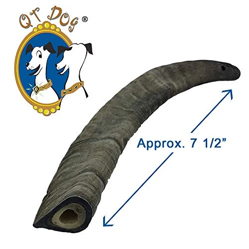 4 Pack Of Gobi Goat Horns Small Long Lasting 100% Natural Gobi Desert Goat Horn Dog Chews With Marrow 5 4 Pack Of Gobi Goat Horns Small Long Lasting 100% Natural Gobi Desert Goat Horn Dog Chews With Marrow - Image 3