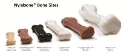 Nylabone (3 Pack) Dura Chew Bacon Flavored Bone - Size Regular -Dog Supply Store 41ieKMnWczL