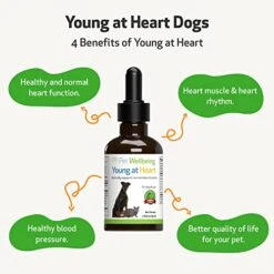 Pet Wellbeing Young At Heart For Dogs - Vet-Formulated - Supports Heart (Cardiovascular) Health - Natural Herbal Supplement 2 Oz (59 Ml) -Dog Supply Store 41ir1xh2ASL