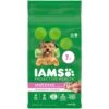 IAMS Small & Toy Breed Adult Dry Dog Food For Small Dogs With Real Chicken, 7 Lb. Bag -Dog Supply Store 41jAbW3HNJL