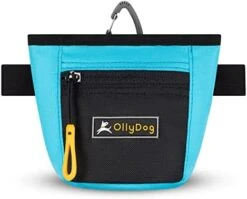 OllyDog Goodie Treat Bag, Dog Treat Pouch, Waist Belt Clip For Hands-Free Training, Magnetic Closure, Dog Training And Behavior Aids, Three Ways To Wear (Cactus) -Dog Supply Store 41kv4qAxMLL. AC