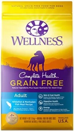 Wellness Complete Health Grain-Free Small Breed Dry Dog Food, Natural Ingredients, Made In USA With Real Turkey, For All Lifestages (Turkey, Chicken & Salmon, 4-Pound Bag) -Dog Supply Store 41mICSpvELL. AC