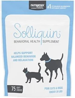 Nutramax Solliquin Calming Behavioral Health Supplement For Small To Medium Dogs And Cats - With L-Theanine, Magnolia / Phellodendron, And Whey Protein Concentrate, 75 Soft Chews -Dog Supply Store 41mt7xaAyPL. AC