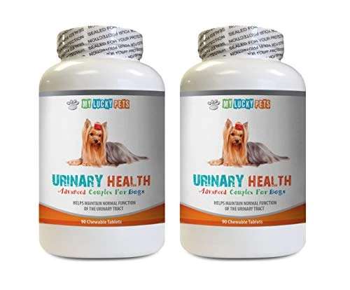 MY LUCKY PETS LLC Dog Bladder Infection - Dog Urinary Health Formula - Helps With Incontinence And Bladder Issues - Immune Boost - Dog Urinary Health Treats - 2 Bottles (180 Treats) 3 MY LUCKY PETS LLC Dog Bladder Infection - Dog Urinary Health Formula - Helps With Incontinence And Bladder Issues - Immune Boost - Dog Urinary Health Treats - 2 Bottles (180 Treats)