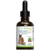 Pet Wellbeing Kidney Support Gold For Dogs - Vet-Formulated - Supports Healthy Kidney Function In Dogs - Natural Herbal Supplement 2 Oz (59 Ml)
