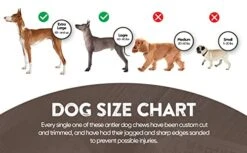 WhiteTail Naturals | Premium Deer Antlers For Dogs (Extra Large) | All Natural Antler Dog Chew | Naturally Shed, Long Lasting Chew Bone, Made In USA -Dog Supply Store 41pjvSLFS0L