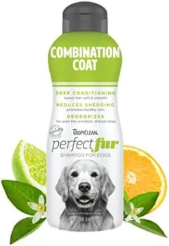 TropiClean Perfect Fur Dog Shampoo For Shedding Control For All Breeds With A Short Double Coat, 16 Ounce -Dog Supply Store 41q540x2xlL. AC