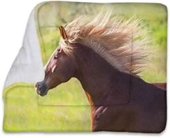 GENERIC Multicolor Self Heating Pet Pads Blanket Puppy's Pet Pad Ice Cream Cones 50s Time Colored Drawings Large Dog Bed Pad Pets Sleeping Bed Soft Warm Fluffy Kennel Pad Food Decor 22" X 28" 30 GENERIC Multicolor Self Heating Pet Pads Blanket Puppy's Pet Pad Ice Cream Cones 50s Time Colored Drawings Large Dog Bed Pad Pets Sleeping Bed Soft Warm Fluffy Kennel Pad Food Decor 22" X 28" -Dog Supply Store 41qSMw1aEL. AC