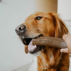 Pet Qwerks Nylon Antler Liver Flavor - Durable Dog Bones For Aggressive Chewers, Tough Nearly Indestructible Chew Proof Toys | Made In USA - For Large Breed Dogs, XL (ZA14) -Dog Supply Store 41qXvrNEZbL