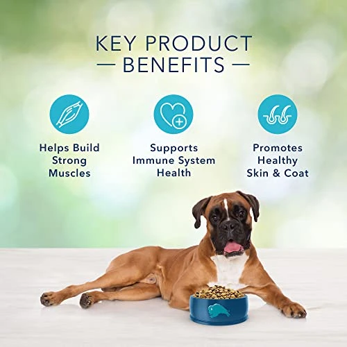 Blue Buffalo Freedom Grain Free Natural Adult Dry Dog Food, Beef 4-lb 6 Blue Buffalo Freedom Grain Free Natural Adult Dry Dog Food, Beef 4-lb - Image 4