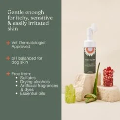 Dandylion Clean Paws | No-Rinse Foaming Cleanser | Gentle, Fragrance-Free, And PH Balanced To Provide A Deep Clean Safe For All Dogs | 5fl Oz. Bottle With Silicone Bristle Brush -Dog Supply Store 41sBorQSbML