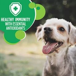 IAMS Small & Toy Breed Adult Dry Dog Food For Small Dogs With Real Chicken, 7 Lb. Bag -Dog Supply Store 41tVFGmw6kL