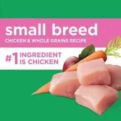 IAMS Small & Toy Breed Adult Dry Dog Food For Small Dogs With Real Chicken, 7 Lb. Bag -Dog Supply Store 41uIcj1JnqL