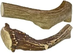 WhiteTail Naturals | 3 Pack Medium | Deer Antler Dog Chews | All Natural Organic Antlers For Dogs | Long Lasting Antler Bones For Dogs | Durable Antler Dog Toy -Dog Supply Store 41uOBI9OSjL. AC