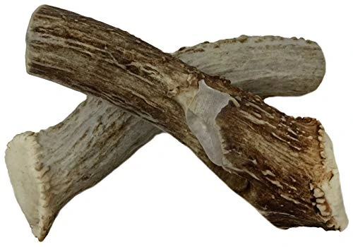 WhiteTail Naturals | Deer Antlers For Large Dogs (2 Pack- Jumbo XXL) All Natural Antler Dog Chew | Naturally Shed, Long Lasting Chew Bone, Made In USA 2 WhiteTail Naturals | Deer Antlers For Large Dogs (2 Pack- Jumbo XXL) All Natural Antler Dog Chew | Naturally Shed, Long Lasting Chew Bone, Made In USA