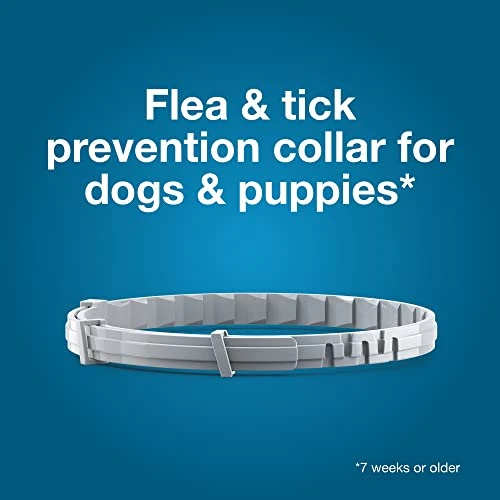 Seresto Large Dog Vet-Recommended Flea & Tick Treatment & Prevention Collar For Dogs Over 18 Lbs. | 8 Months Protection 5 Seresto Large Dog Vet-Recommended Flea & Tick Treatment & Prevention Collar For Dogs Over 18 Lbs. | 8 Months Protection - Image 3