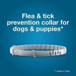 Seresto Small Dog Vet-Recommended Flea & Tick Treatment & Prevention Collar For Dogs Under 18 Lbs. | 8 Months Protection -Dog Supply Store 41vKcrB0ECL