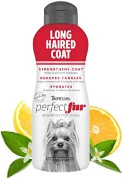 TropiClean Perfect Fur Dog Shampoo For Shedding Control For All Breeds With A Short Double Coat, 16 Ounce -Dog Supply Store 41wH43qLKiL. AC
