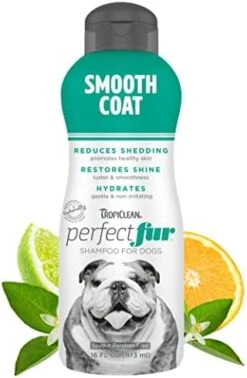 TropiClean Perfect Fur Dog Shampoo For Shedding Control For All Breeds With A Short Double Coat, 16 Ounce -Dog Supply Store 41wvJ0qbcL. AC