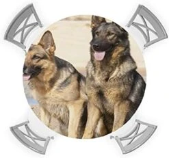 Aomike Round Fitted Tablecloth, Modern Black Yellow Pet Two Dogs Yellow Desert Elastic Edge Tablecloth Waterproof Wipeable Table Cover For Dinning Fits Tables Up To 55" - 60" 19 Aomike Round Fitted Tablecloth, Modern Black Yellow Pet Two Dogs Yellow Desert Elastic Edge Tablecloth Waterproof Wipeable Table Cover For Dinning Fits Tables Up To 55" - 60" -Dog Supply Store 41wvhA32srL. AC 2