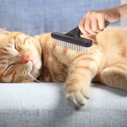 GENERIC Pet Grooming Brush Shedding And Dematting Undercoat Rake Comb For Dogs And Cats Extra Wide Blue Pet Supplies For Small Dogs Bed (Blue, One Size) -Dog Supply Store 41xTKeTfZTL