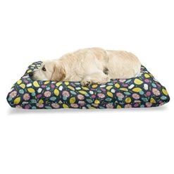 Ambesonne Fruits Pet Bed, Hand Drawn Vegan Options Sliced Lemons Strawberries And Oranges Doodle Style Food, Chew Resistant Pad For Dogs And Cats Cushion With Removable Cover, 24" X 39", Multicolor